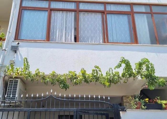 Shuli's Apartament *